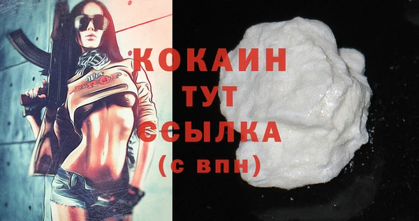 Альфа ПВП Аркадак