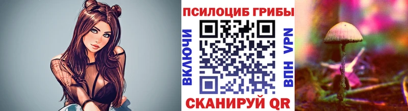 купить наркоту  Чистополь  Галлюциногенные грибы Psilocybine cubensis 
